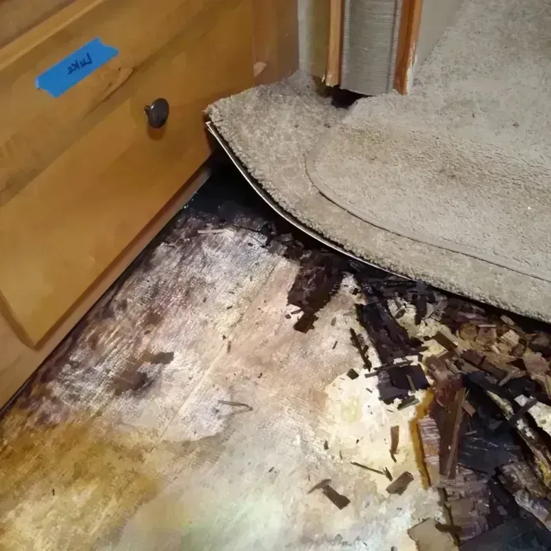 Wood Floor Water Damage in Atlanta, IL